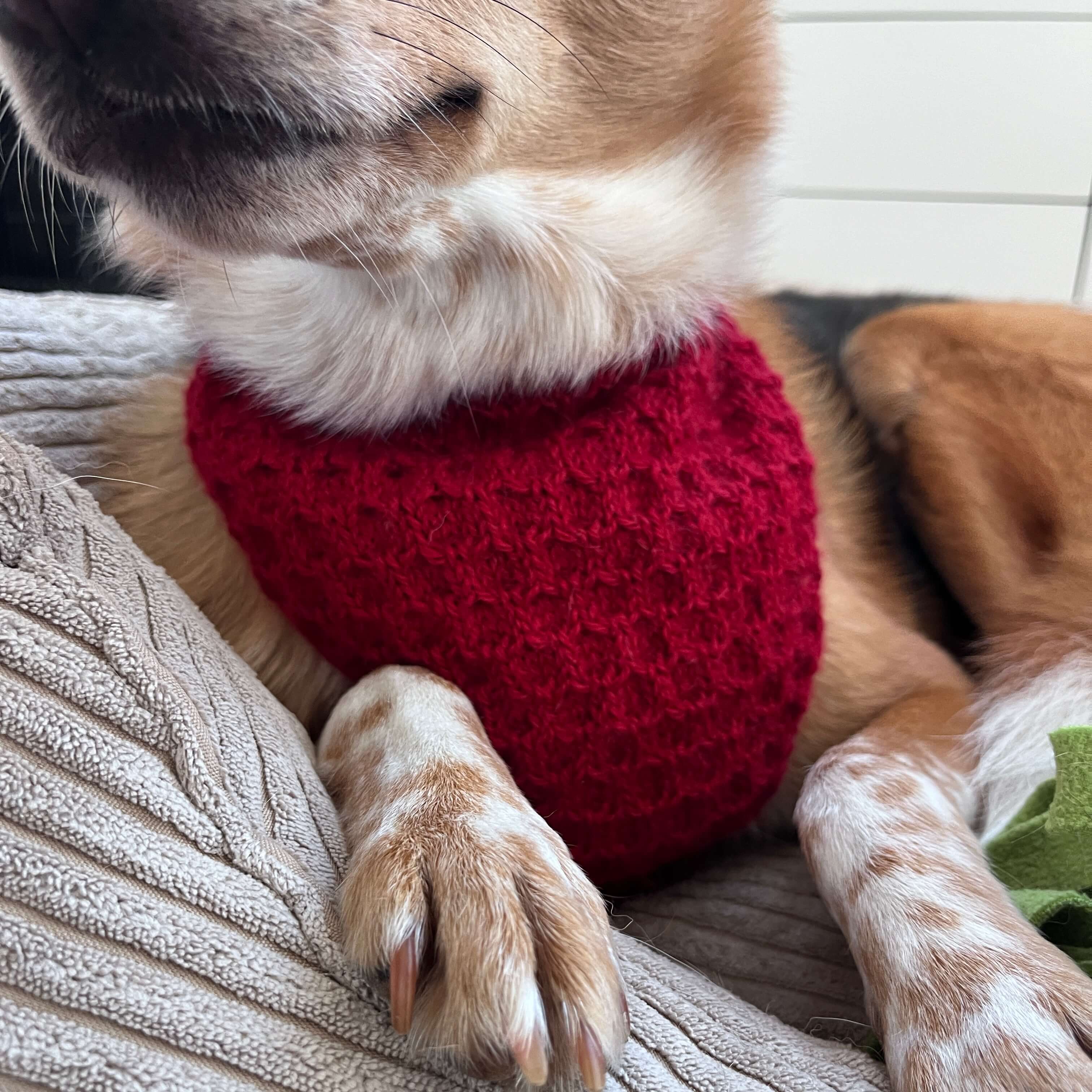 Honey-Croissant Hunde Bandana - Strickmuster
