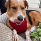 Honey-Croissant Hunde Bandana - Strickmuster