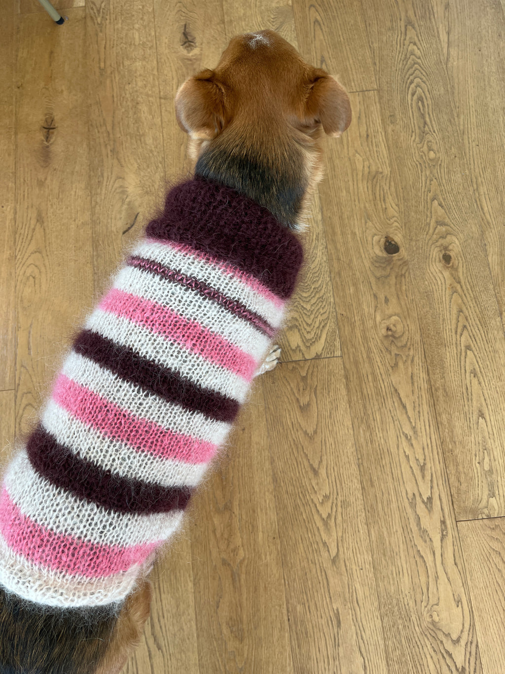Strickanleitung - Easy Peasy Dog Sweater - Farbe 8670