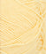 2102 spring yellow