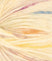 2110 tutti frutti sunshine